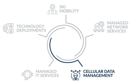 ski - cellular data management