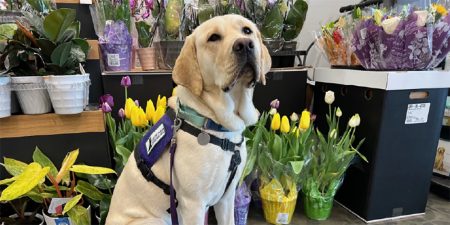 Freya sits in a flower shop.